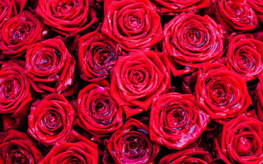 1494509 (a): :2560x1600